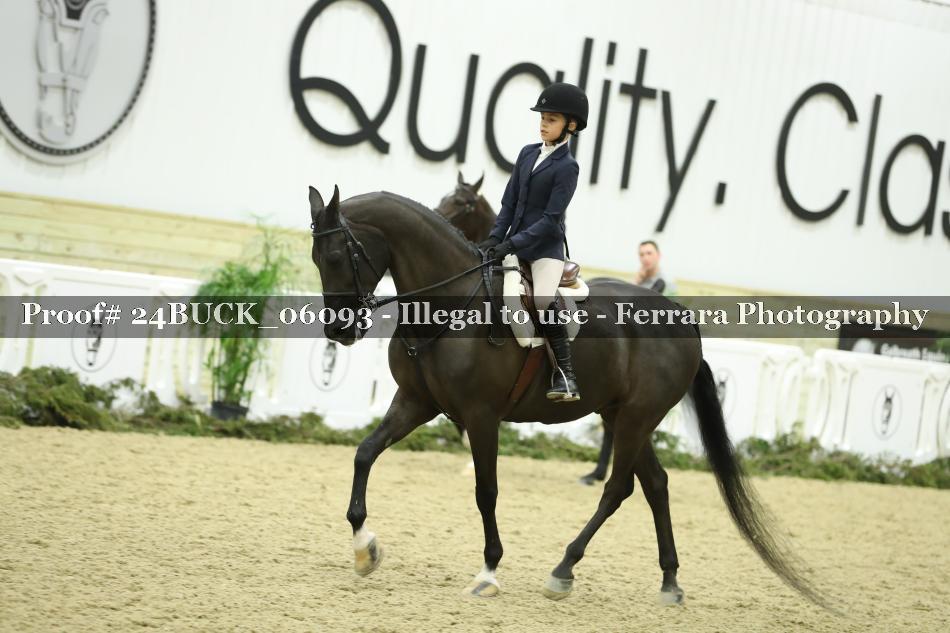 Proof 24BUCK_06093
