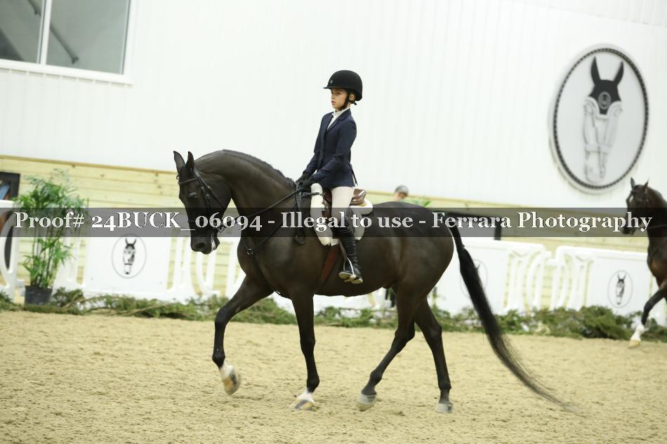 Proof 24BUCK_06094