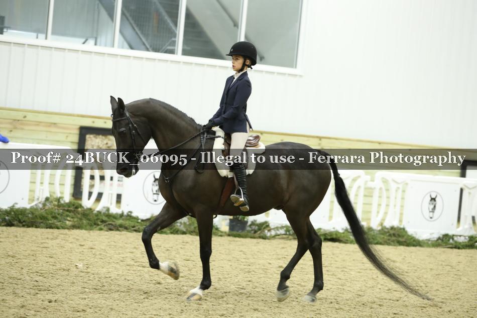 Proof 24BUCK_06095