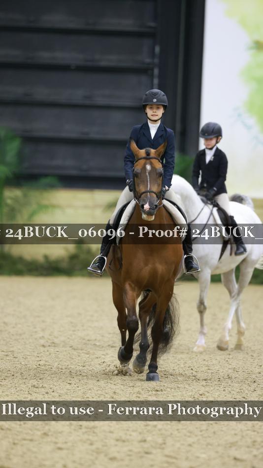 Proof 24BUCK_06096
