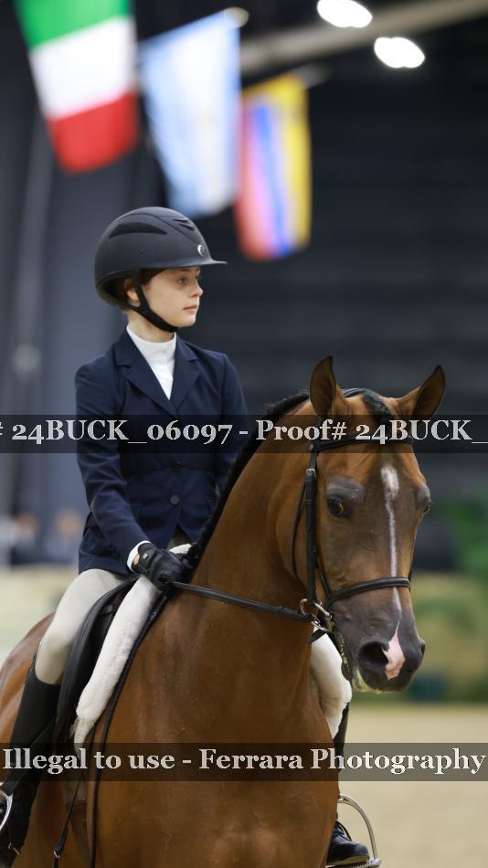 Proof 24BUCK_06097