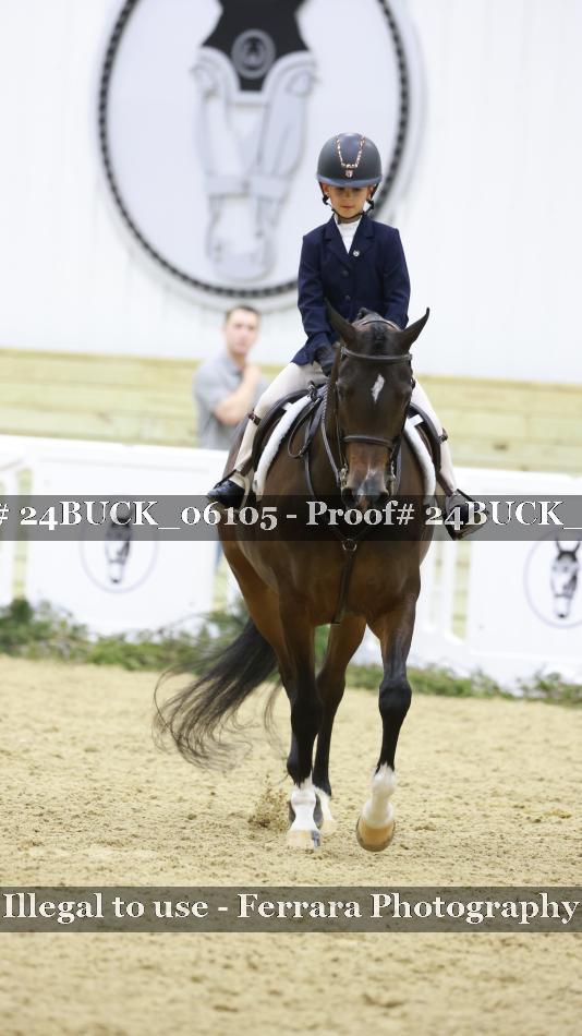 Proof 24BUCK_06105