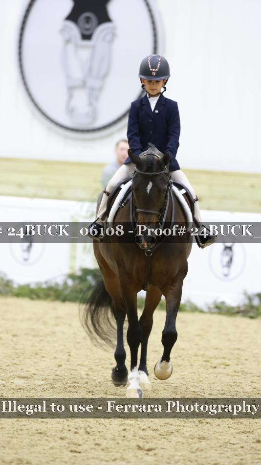 Proof 24BUCK_06108