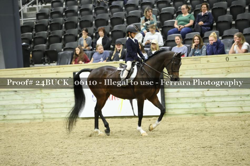 Proof 24BUCK_06110