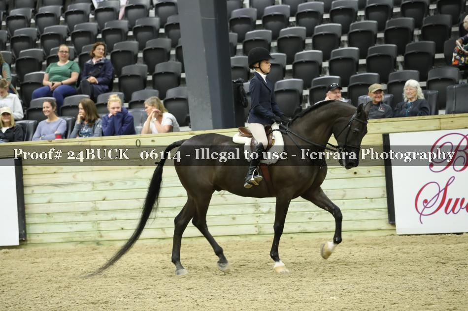Proof 24BUCK_06114