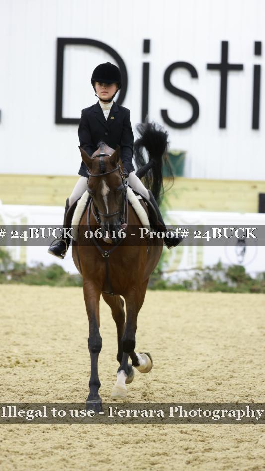 Proof 24BUCK_06116