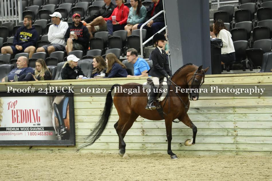 Proof 24BUCK_06120
