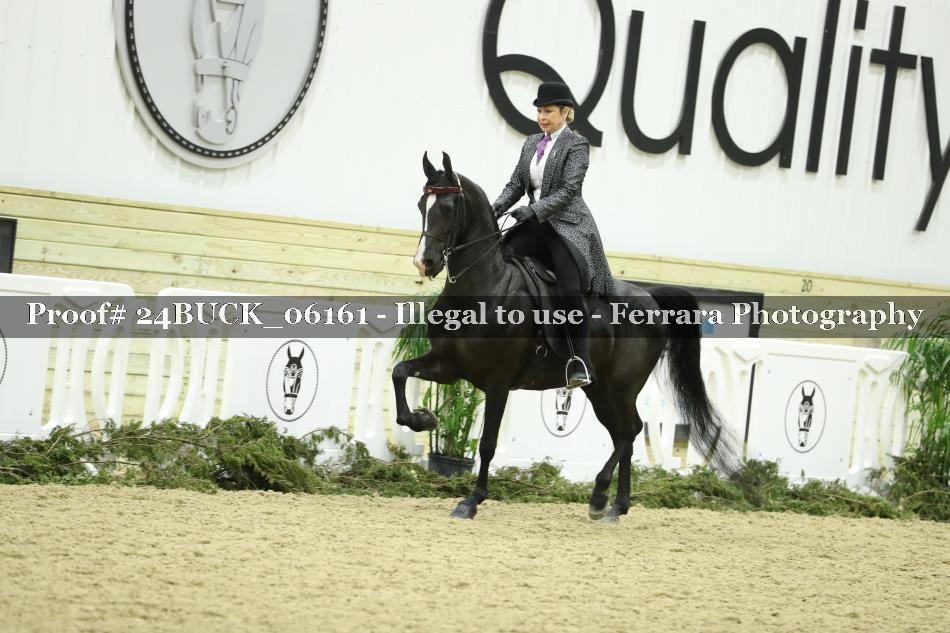 Proof 24BUCK_06161