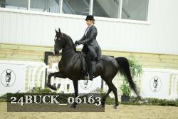 24BUCK_06163 proof