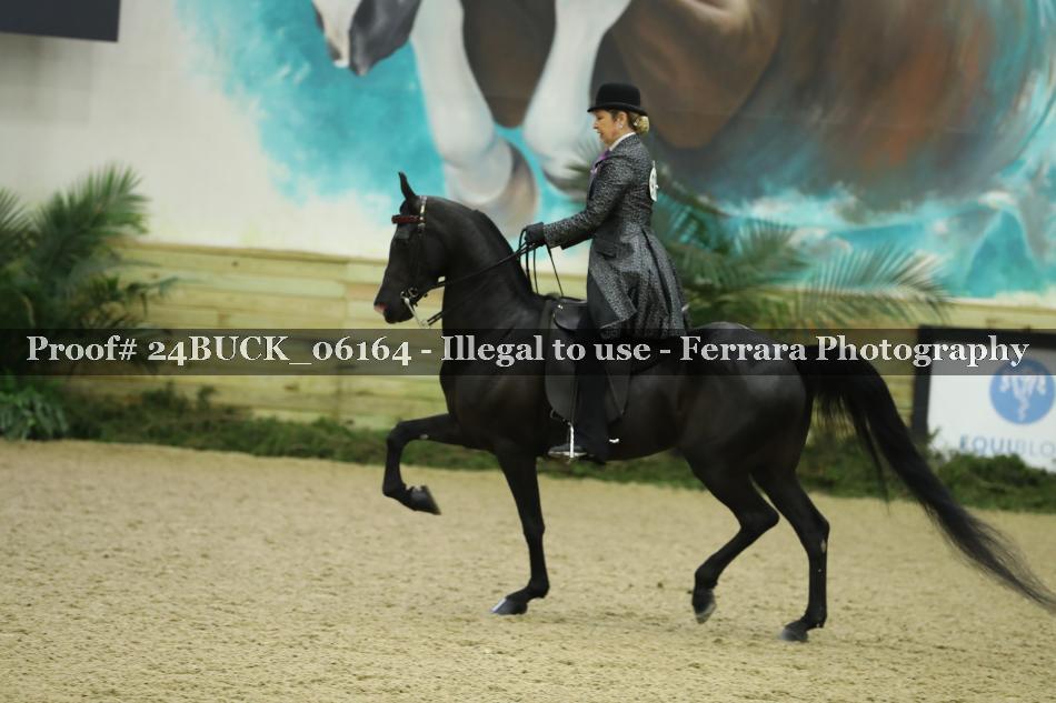 Proof 24BUCK_06164