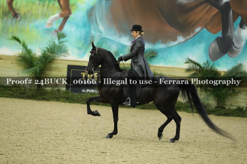 Proof 24BUCK_06166
