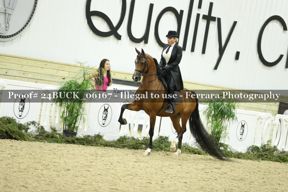 Proof 24BUCK_06167