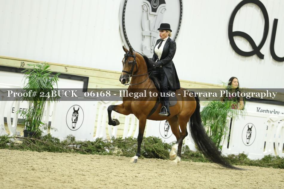 Proof 24BUCK_06168