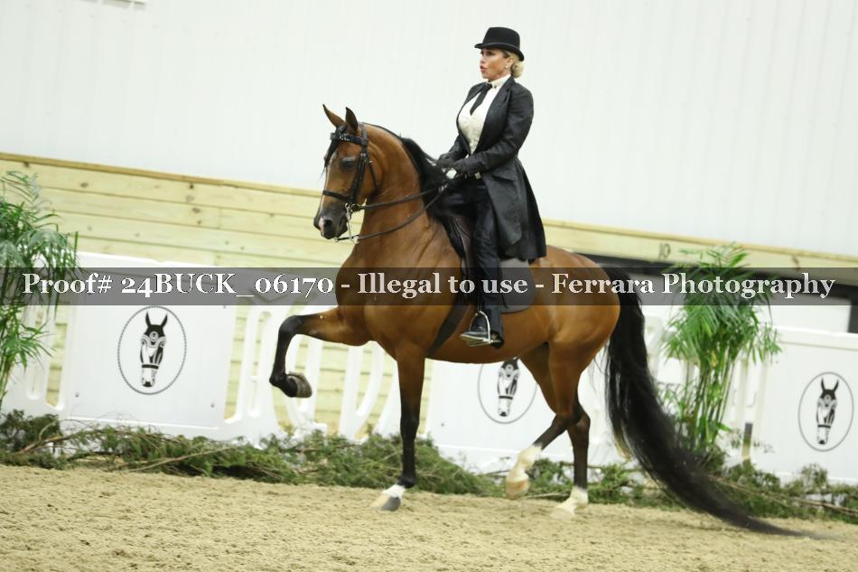 Proof 24BUCK_06170