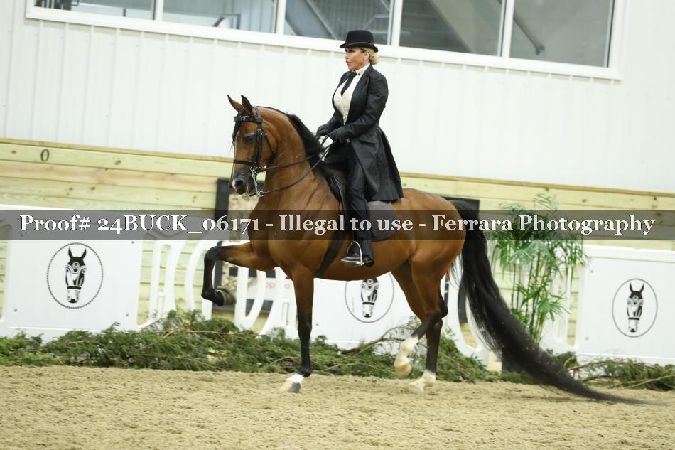 Proof 24BUCK_06171