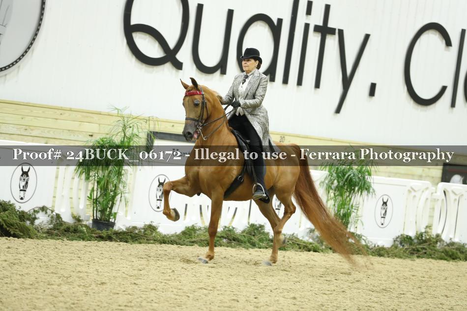 Proof 24BUCK_06172