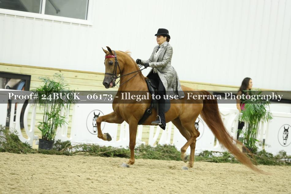 Proof 24BUCK_06173