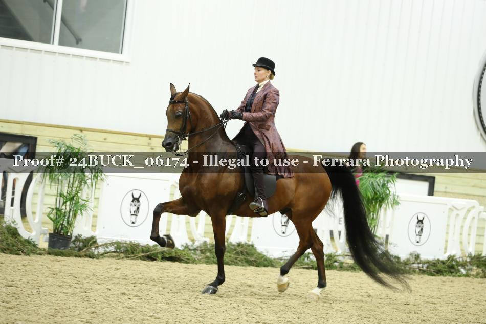 Proof 24BUCK_06174