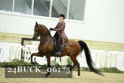 24BUCK_06175 proof