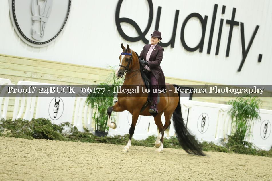 Proof 24BUCK_06177