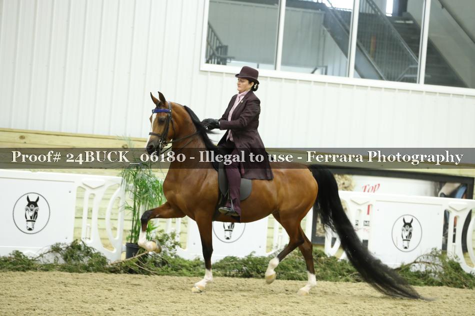 Proof 24BUCK_06180