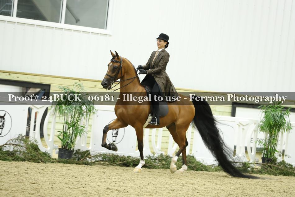 Proof 24BUCK_06181