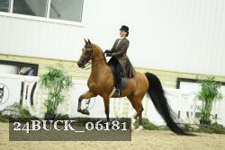 24BUCK_06181 proof