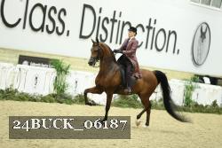 24BUCK_06187 proof