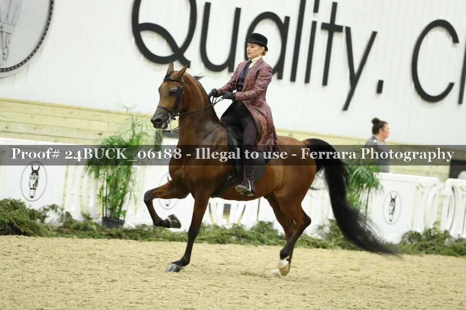 Proof 24BUCK_06188