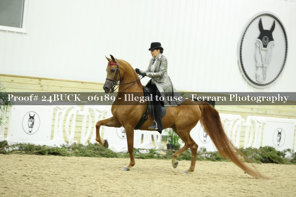 Proof 24BUCK_06189