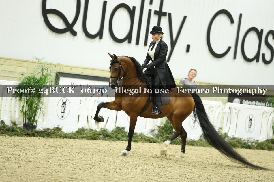 Proof 24BUCK_06190