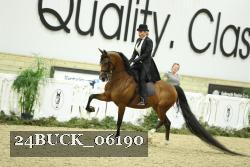 24BUCK_06190 proof