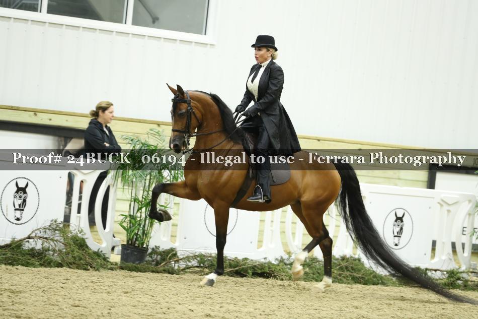 Proof 24BUCK_06194
