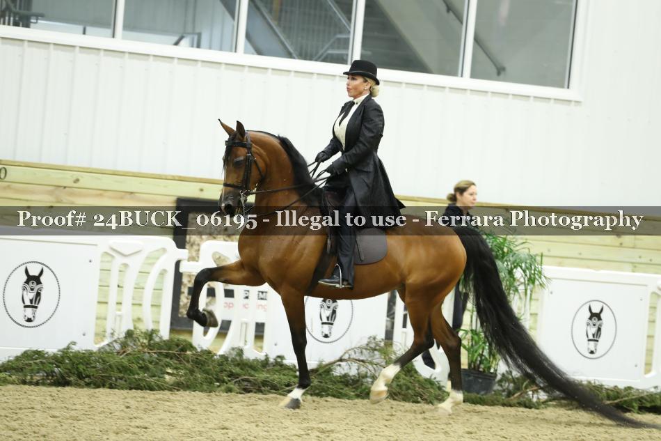 Proof 24BUCK_06195