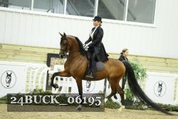 24BUCK_06195 proof
