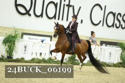 24BUCK_06199 proof