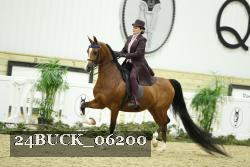 24BUCK_06200 proof