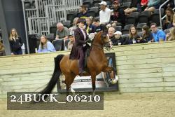 24BUCK_06210 proof