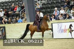 24BUCK_06212 proof