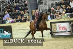 24BUCK_06214 proof