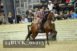 24BUCK_06215 proof