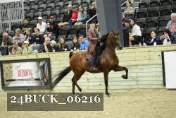 24BUCK_06216 proof