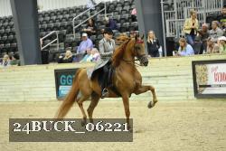 24BUCK_06221 proof