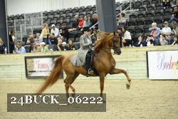 24BUCK_06222 proof