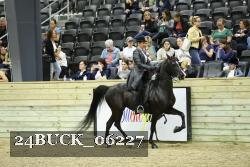 24BUCK_06227 proof