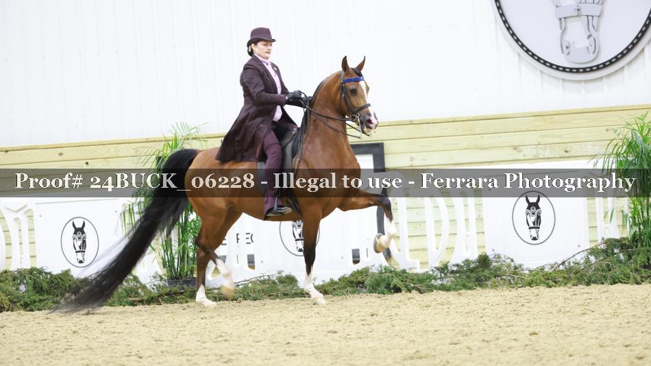 Proof 24BUCK_06228