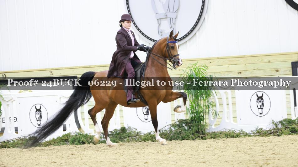 Proof 24BUCK_06229