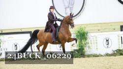 24BUCK_06229 proof