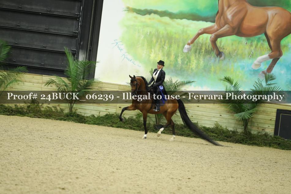 Proof 24BUCK_06239