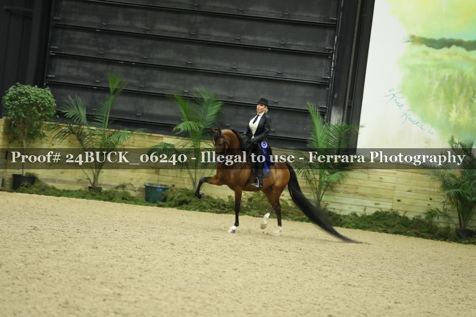 Proof 24BUCK_06240